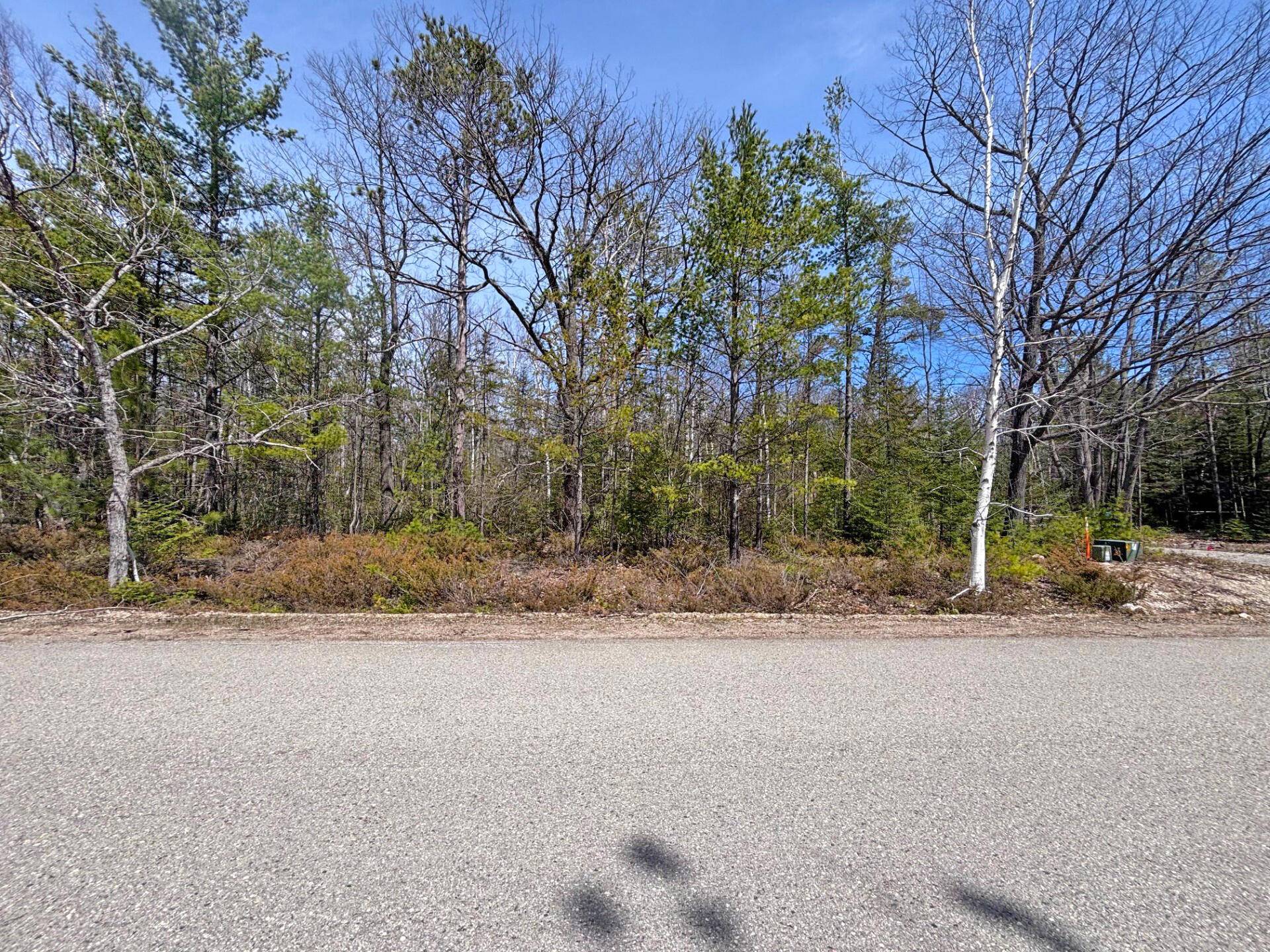 Presque Isle, MI 49777,Lot 375 Kauffman RD