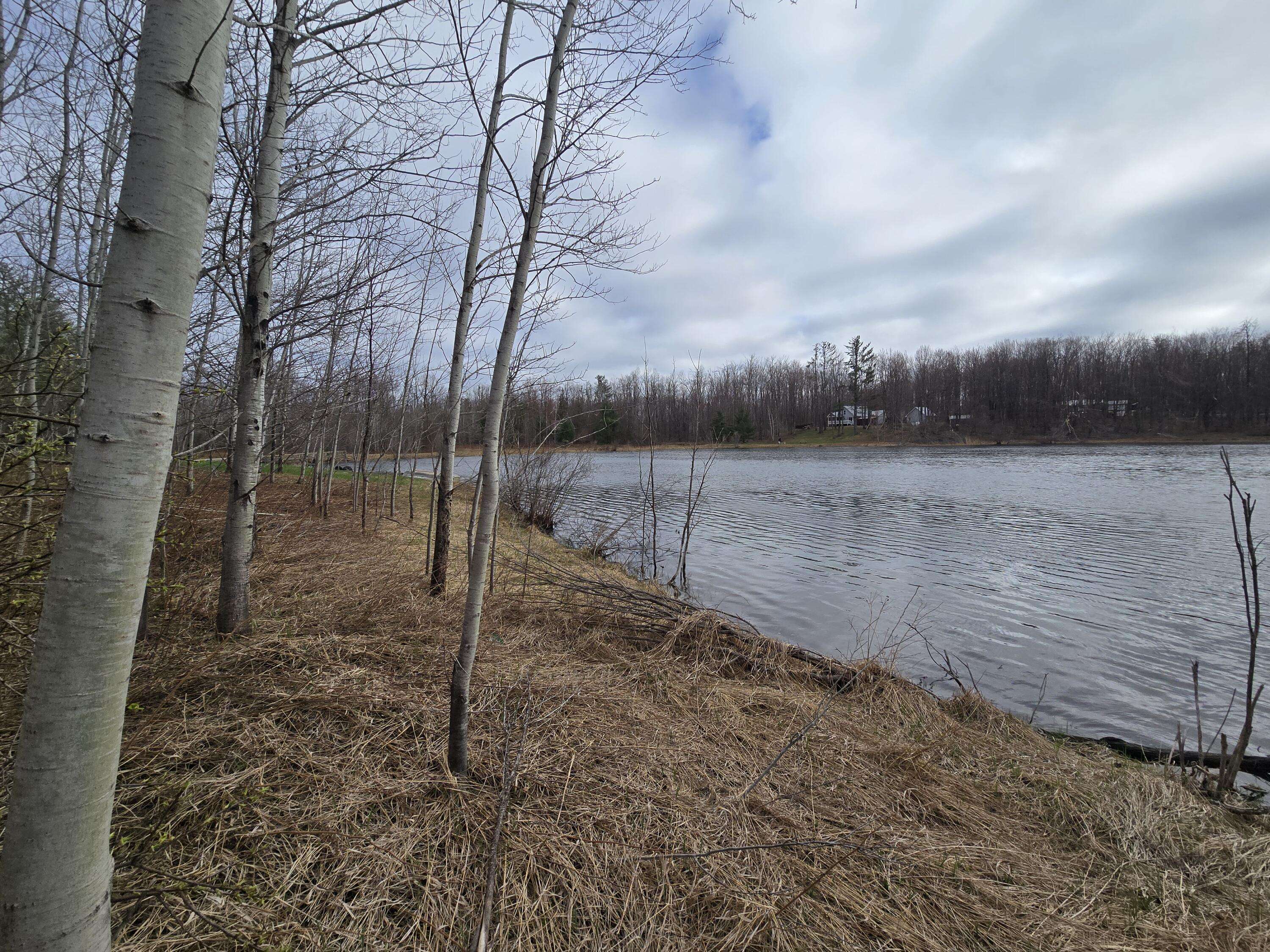 Elmira, MI 49730,Lot #252 Sunridge DR