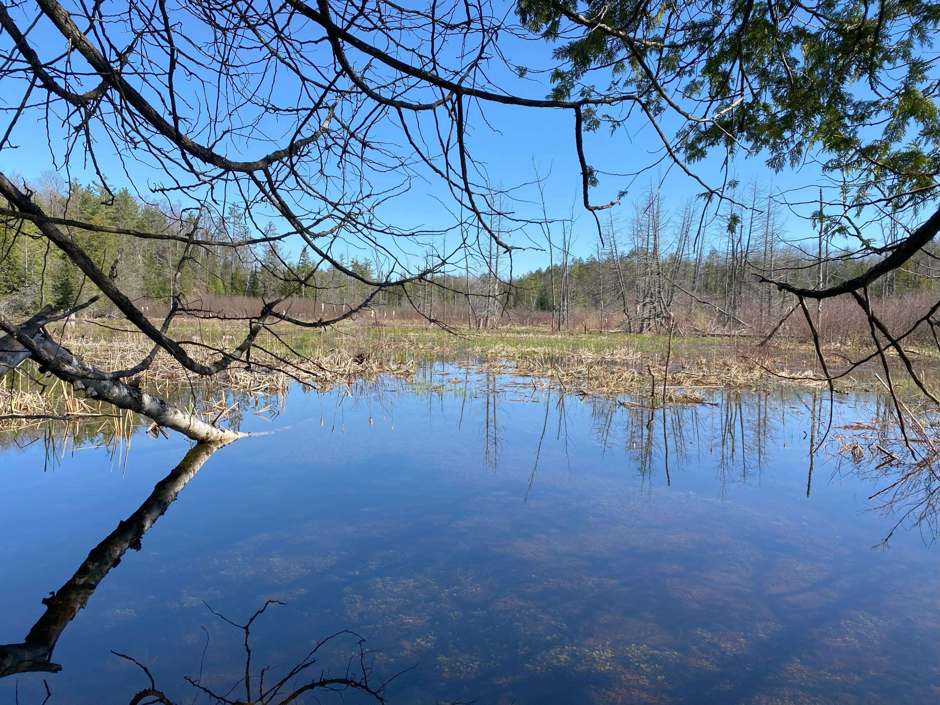 Indian River, MI 49749,Lot 22 Spikehorn TRL