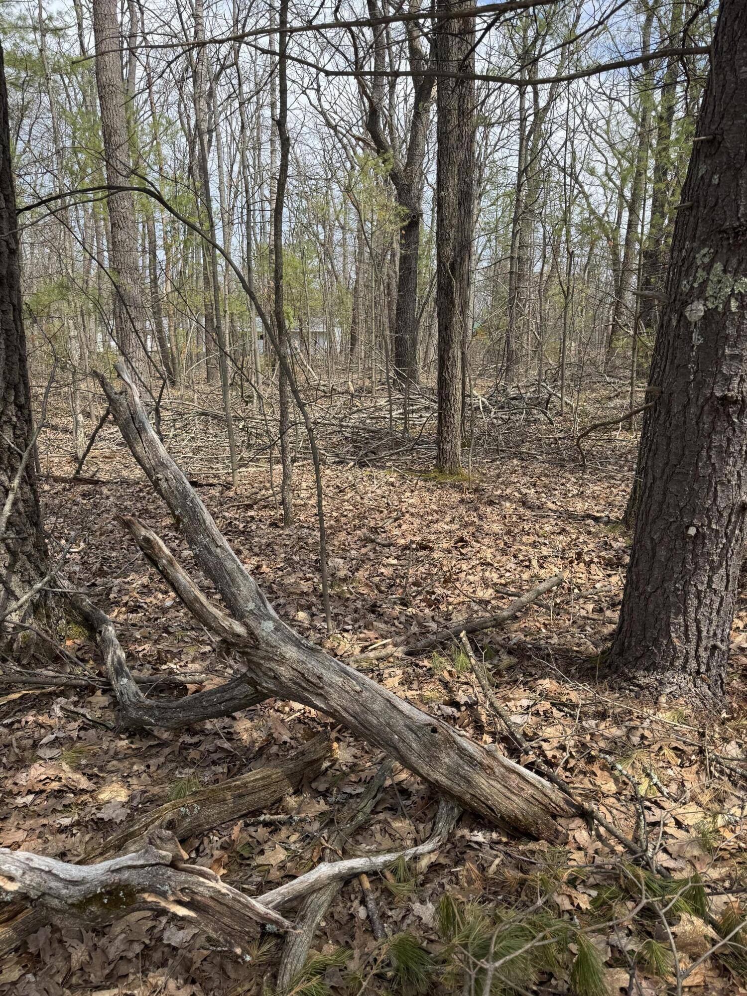 Lewiston, MI 49756,Lot 4 Birch St.