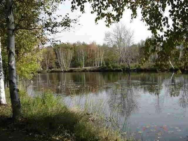 Houghton Lake, MI 48629,000 No Wake CT #12