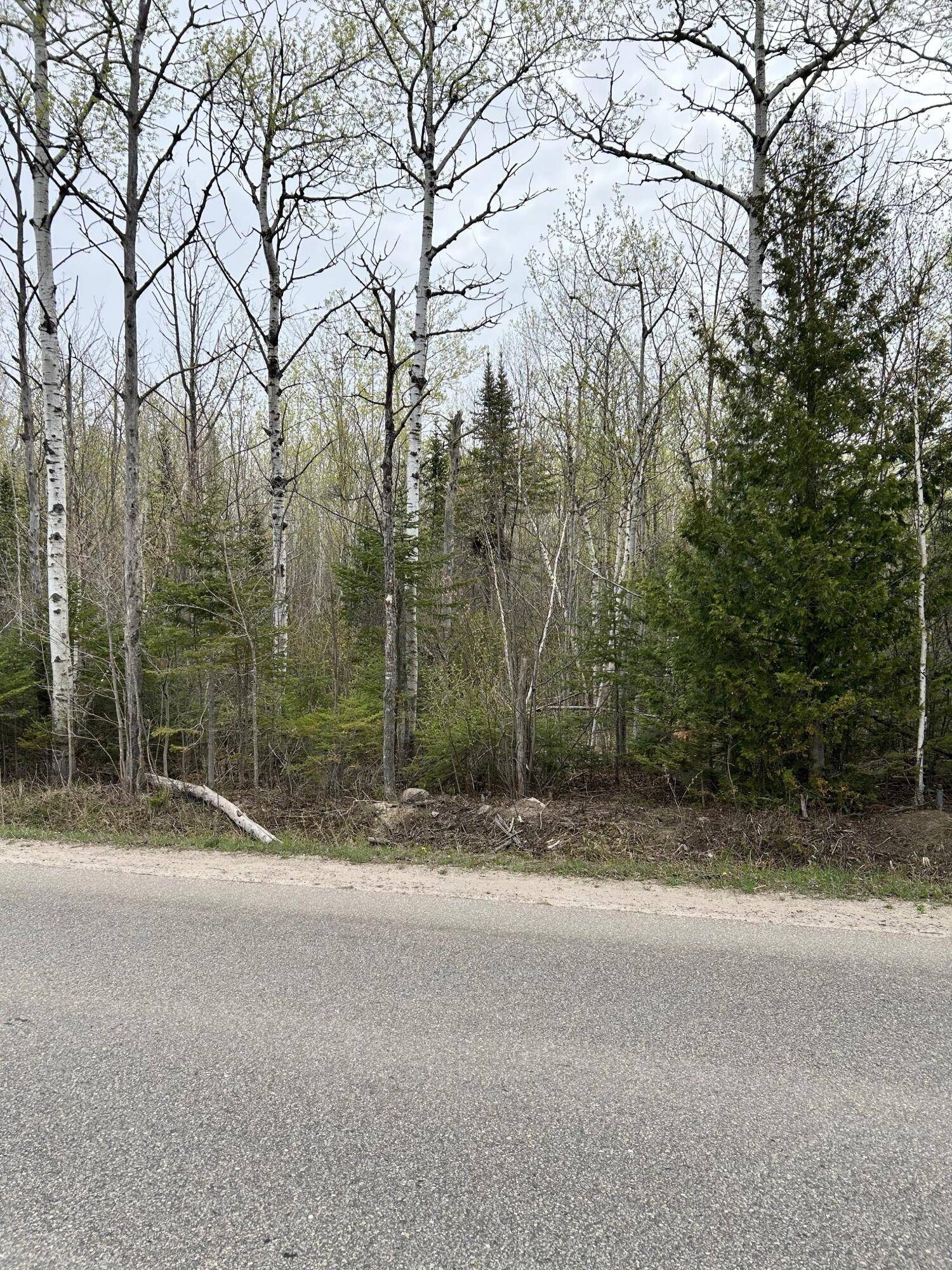 Carp Lake, MI 49718,13496 N Mackinaw HWY #8ac