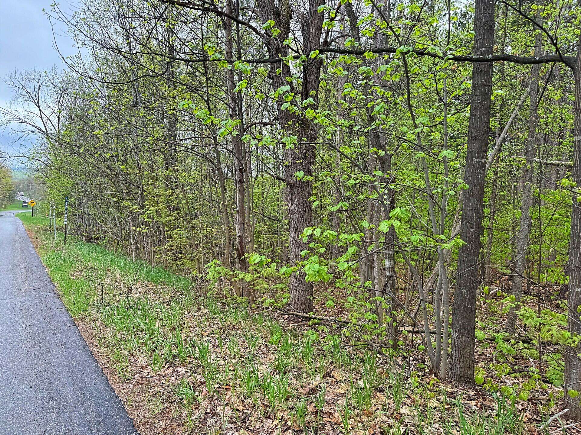 Bellaire, MI 49615,000 Del Mason RD