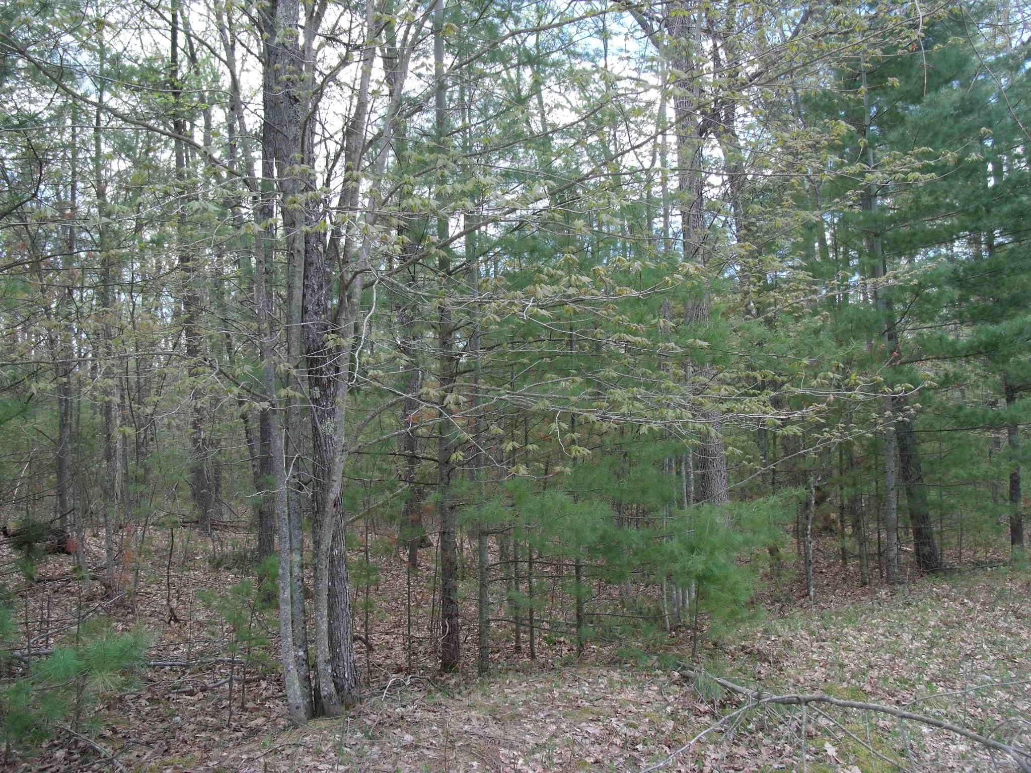 Indian River, MI 49749,6845 Sequoia DR Unit #9