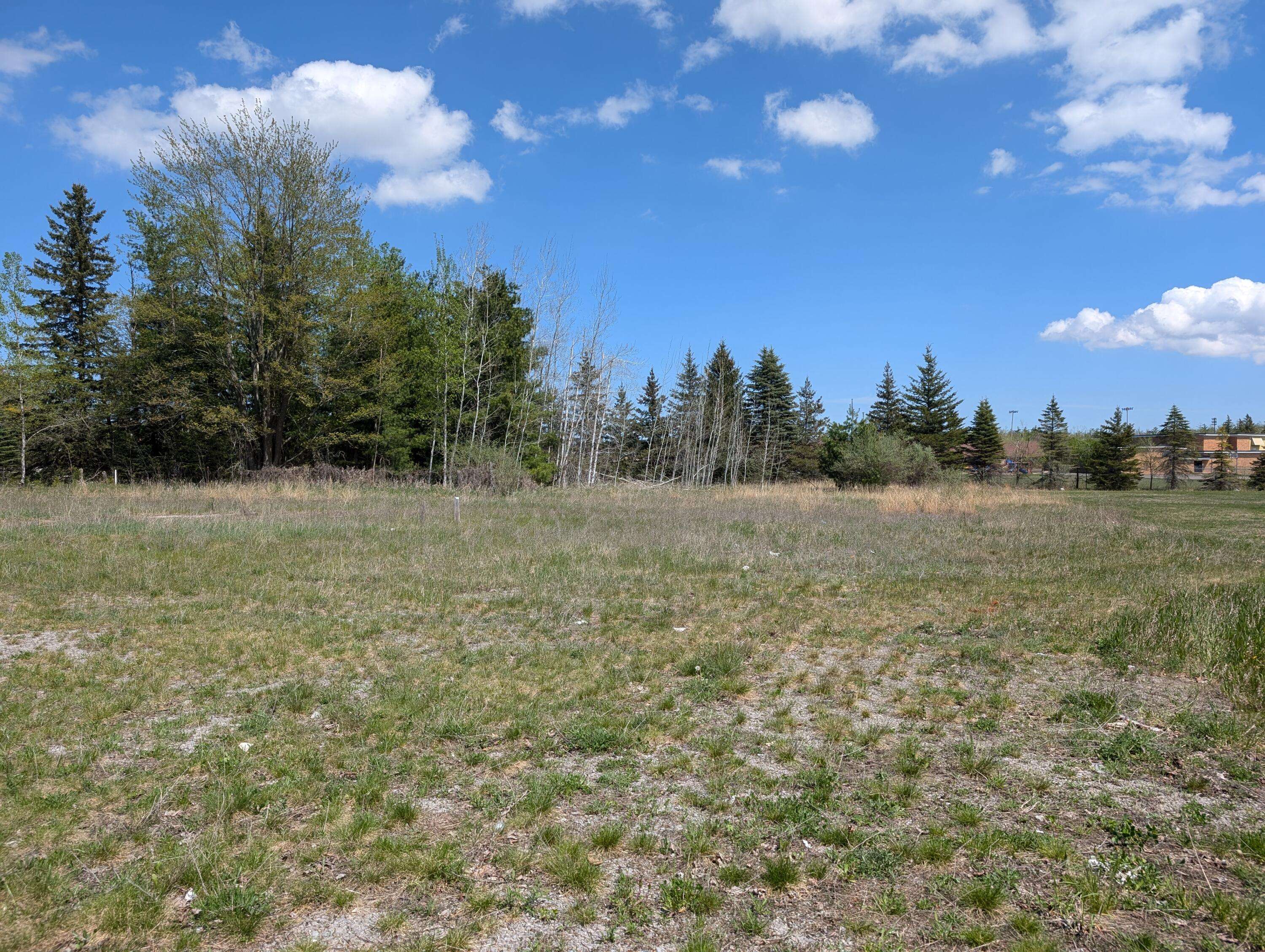 Hillman, MI 49746,520 State ST