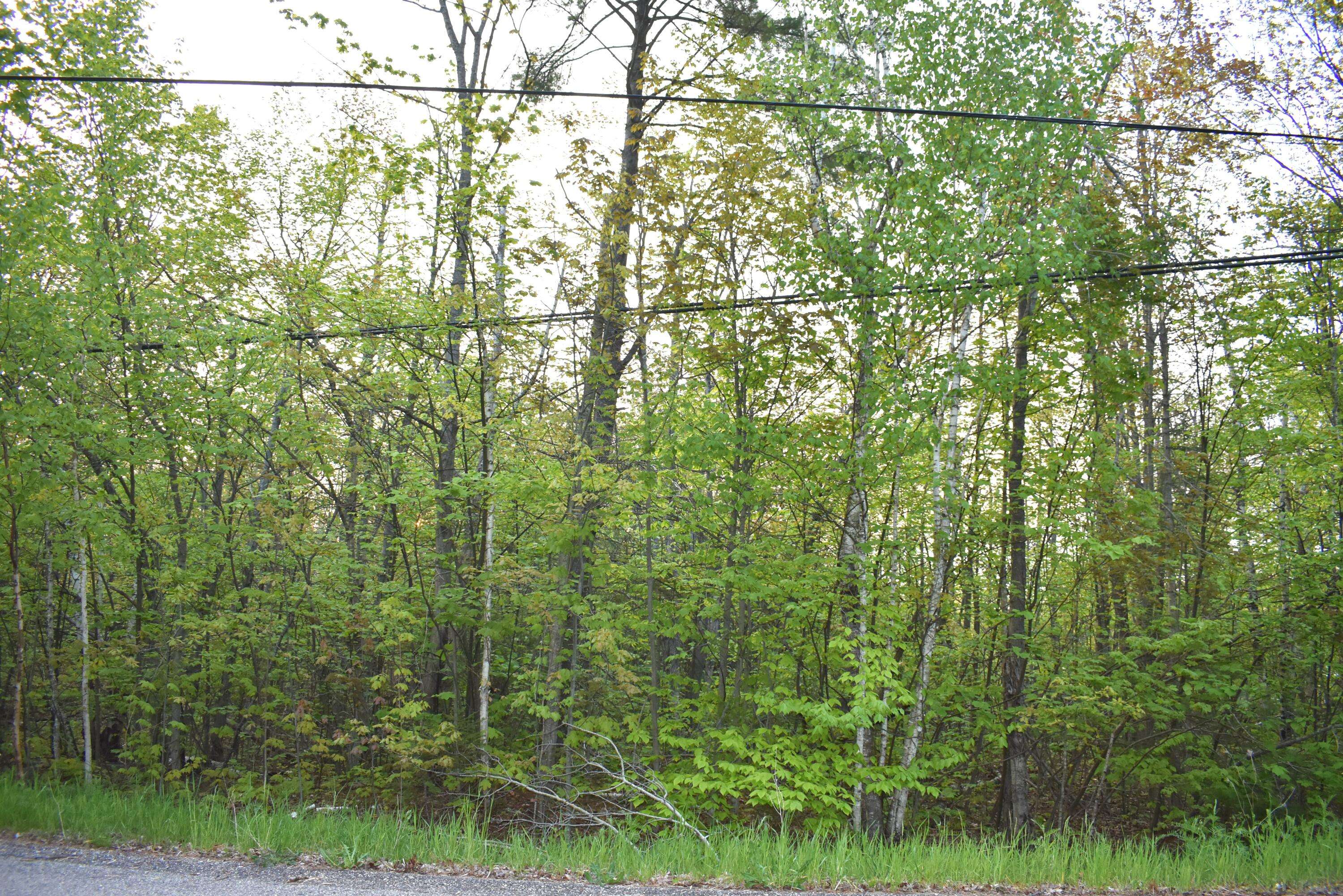 Cheboygan, MI 49721,14236 Straitsview DR