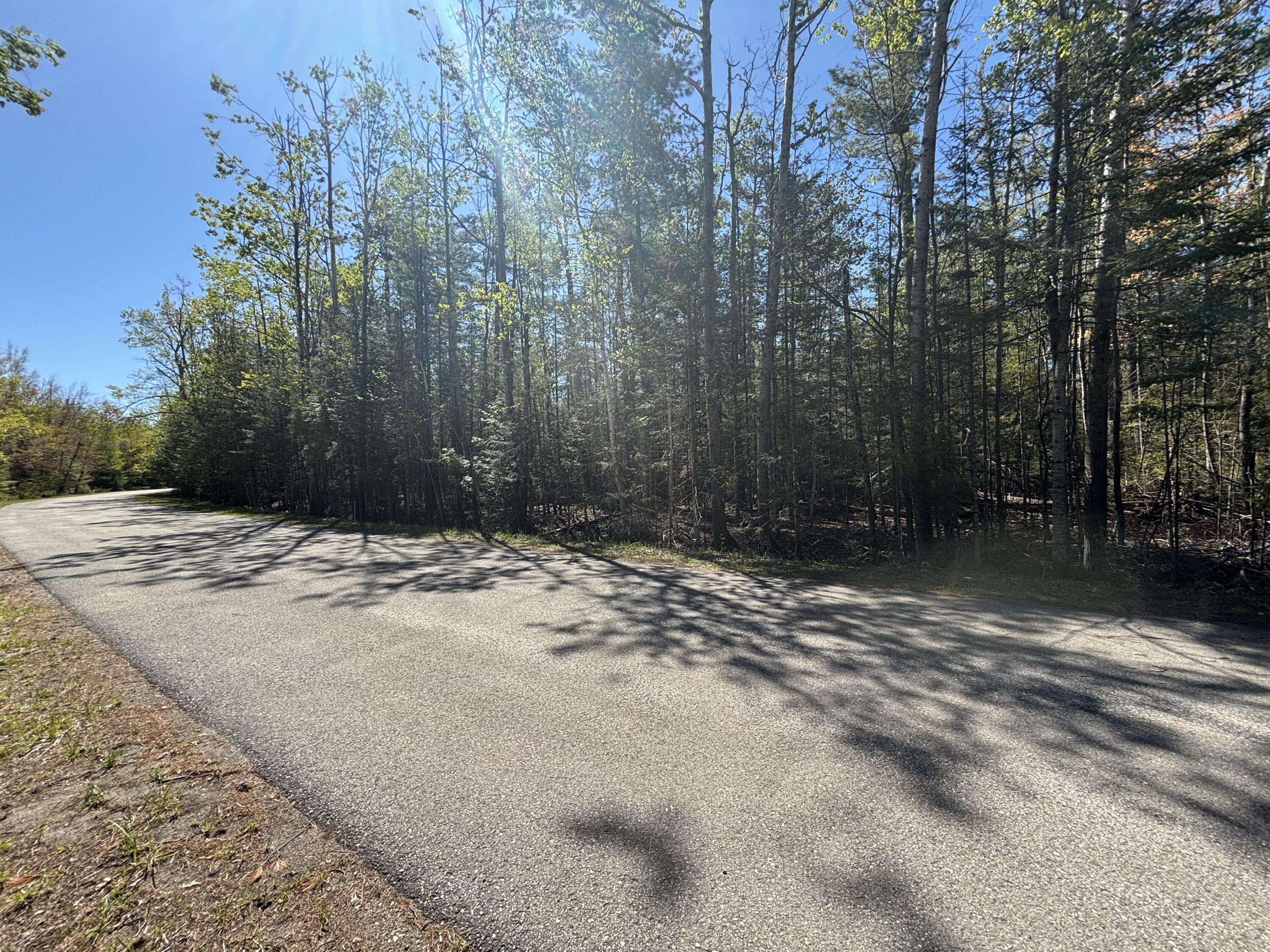 Presque Isle, MI 49777,16905 E Norwood CT