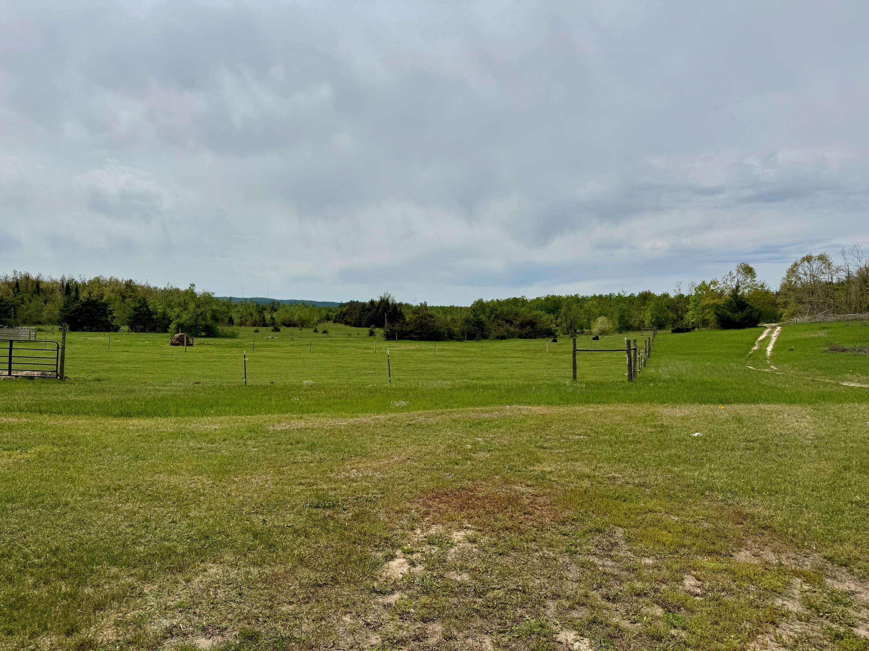 Vanderbilt, MI 49795,568 Alexander RD