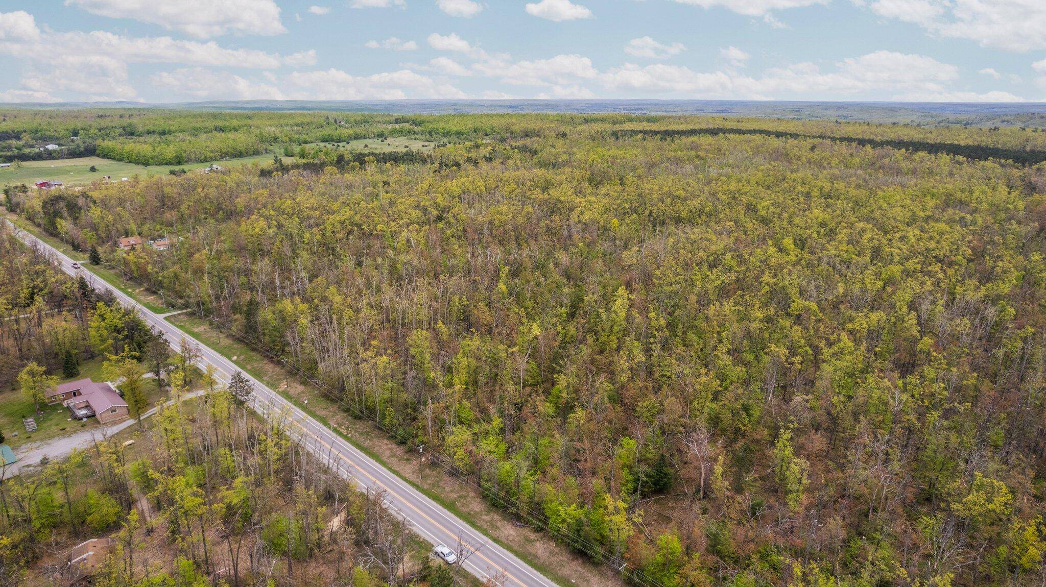 Lewiston, MI 49756,Co Rd 491 20 Acres