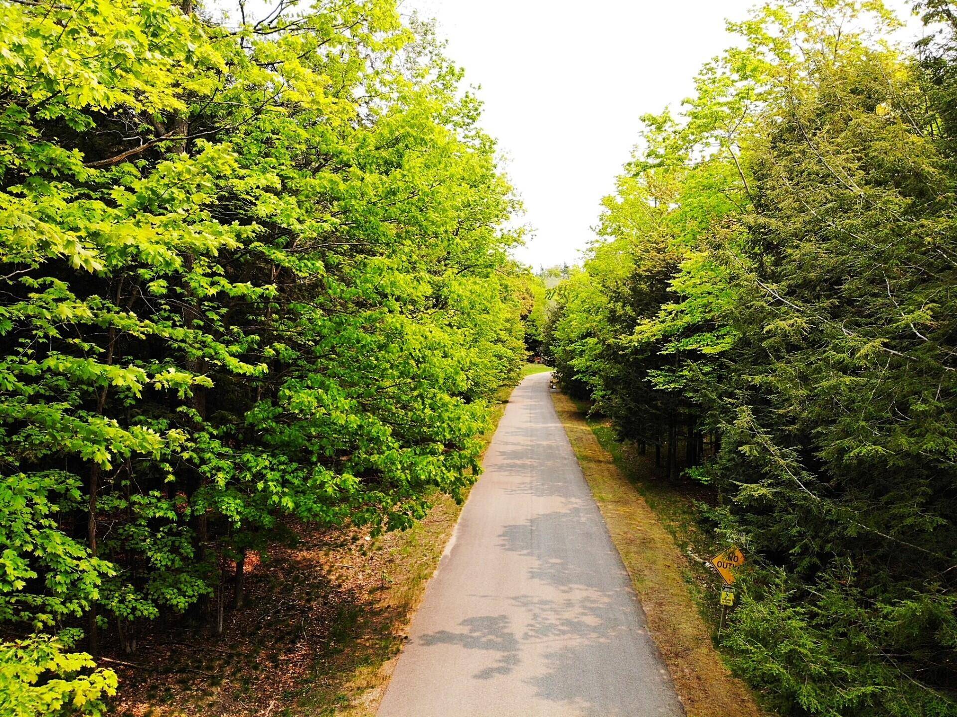 Harbor Springs, MI 49740,5945 Lodgepole RD