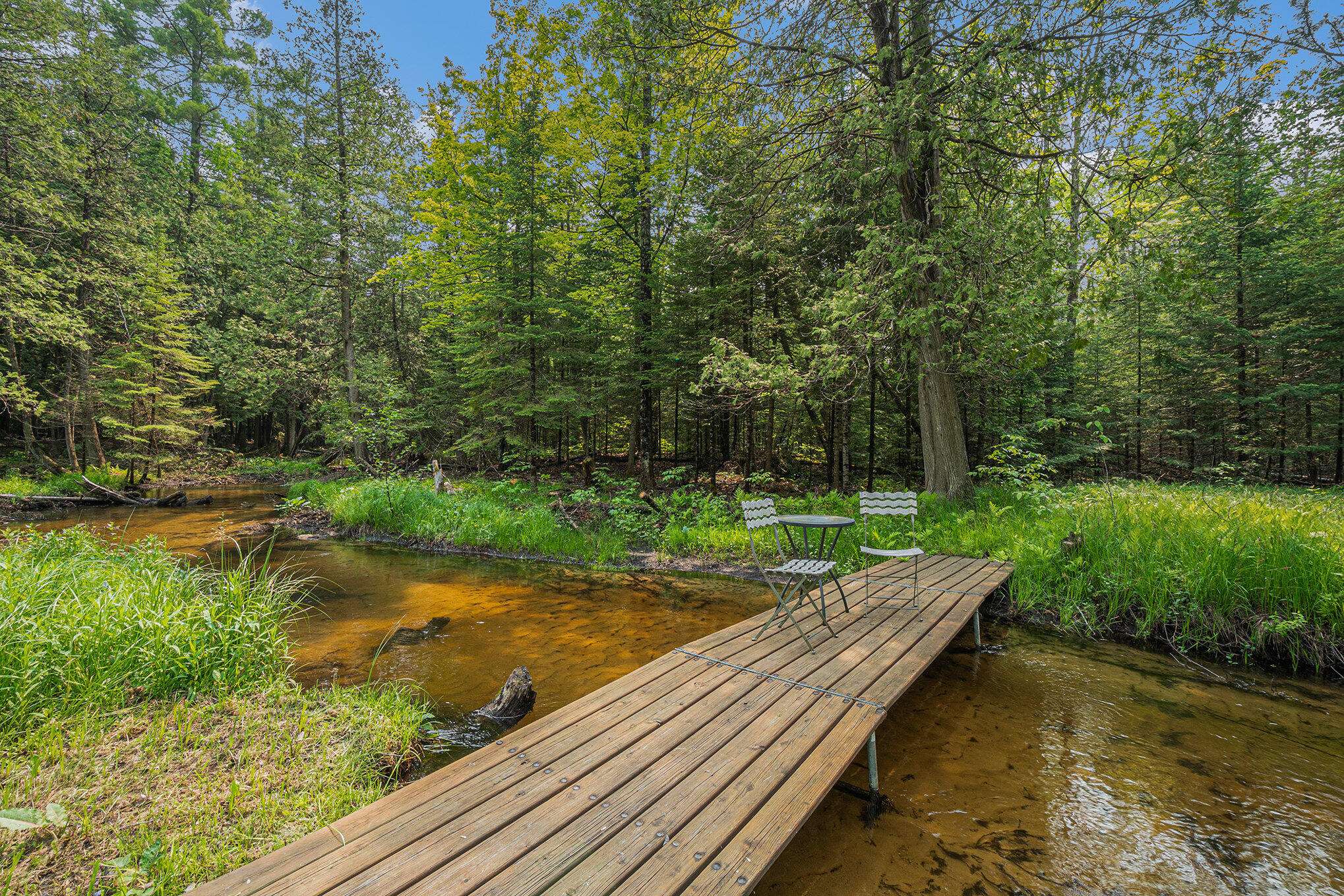 Indian River, MI 49749,6502 Goose Lake RD