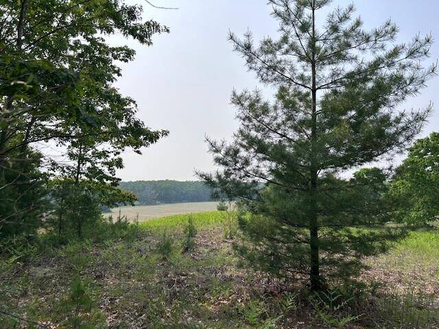 Herron, MI 49744,Thiem RD 1.4 acres