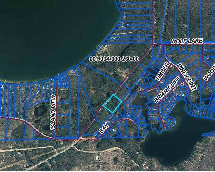 Lewiston, MI 49756,2.63 Acres Co Rd 489 Parcel C