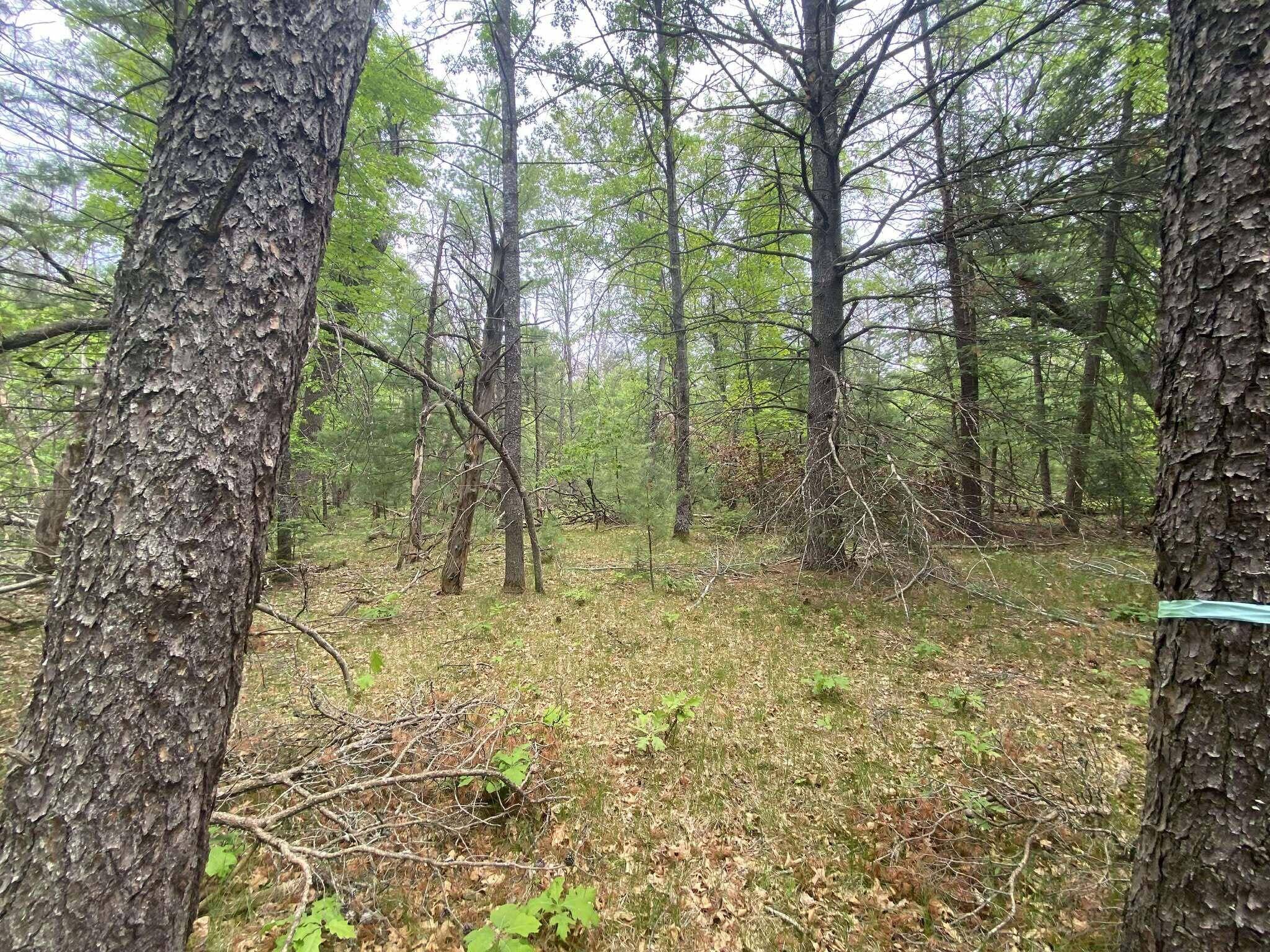 Mio, MI 48647,0 Stitt LN 3 acres