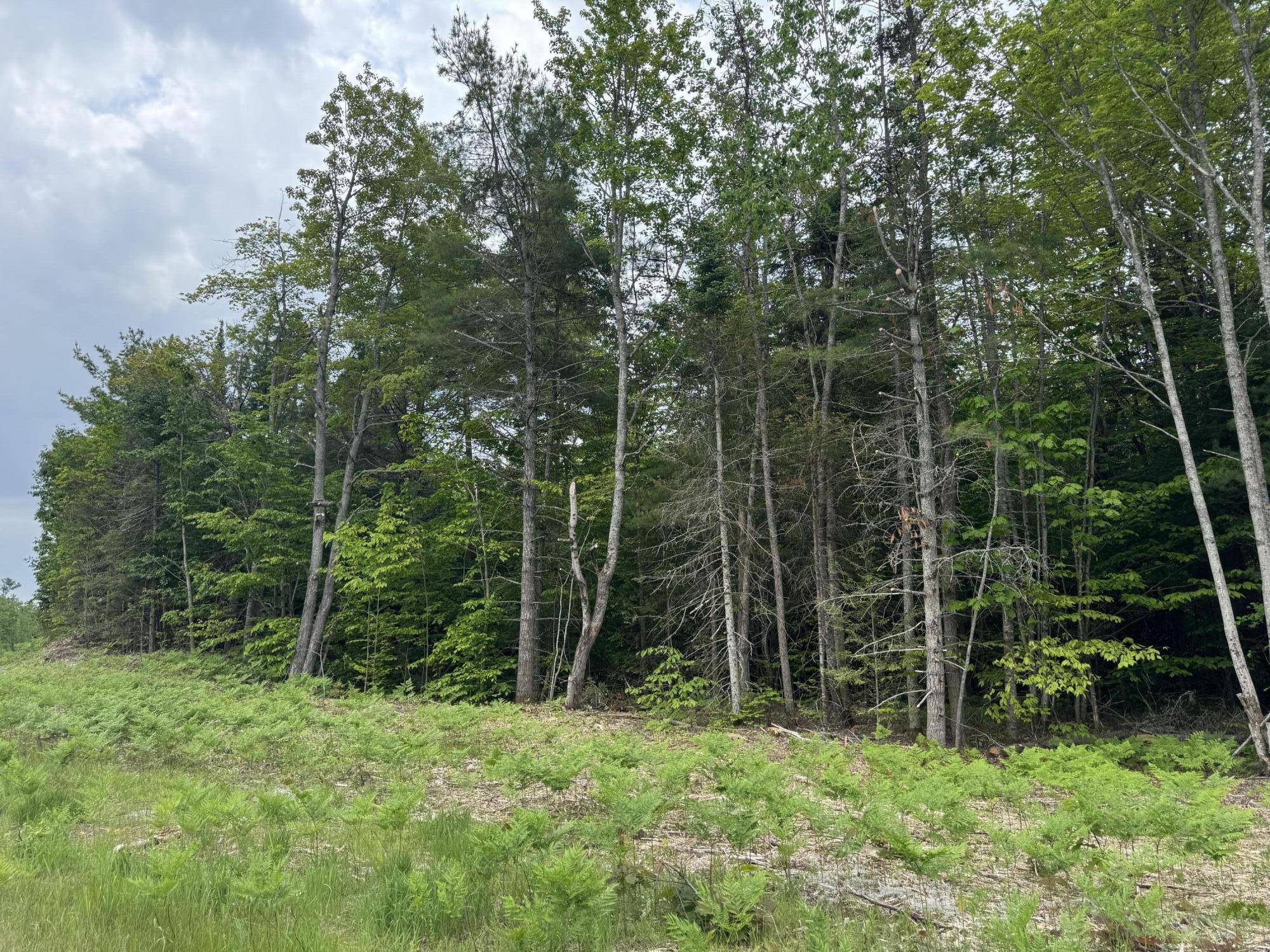 Moran, MI 49760,52 acres US2 HWY