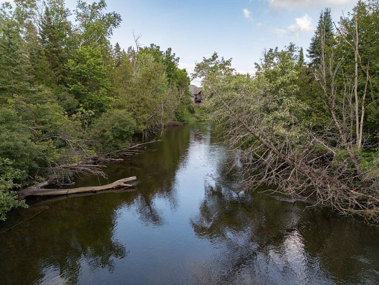 Onaway, MI 49765,TBD W 638 HWY