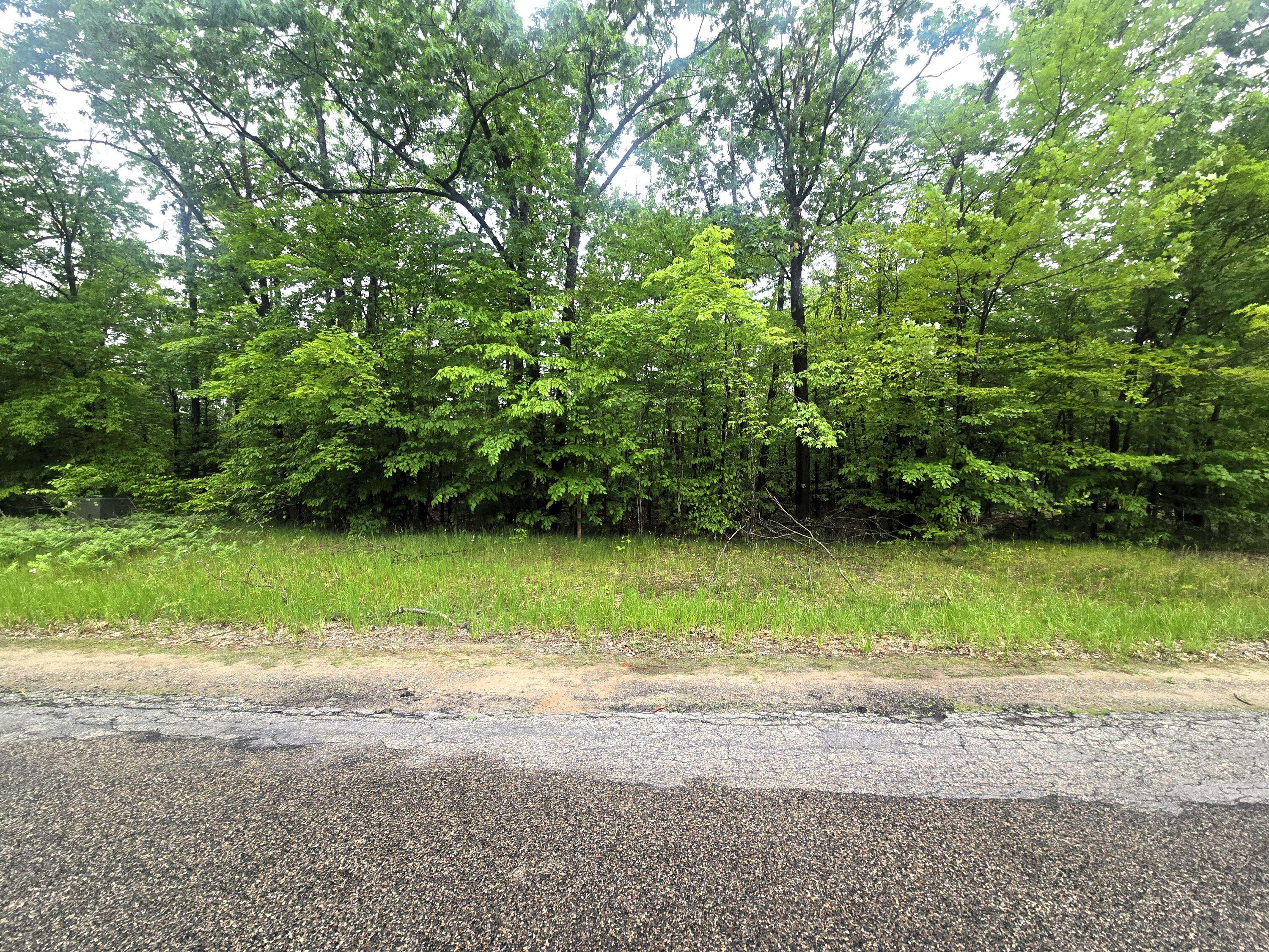 Gaylord, MI 49735,Lot 413 Michaywe DR
