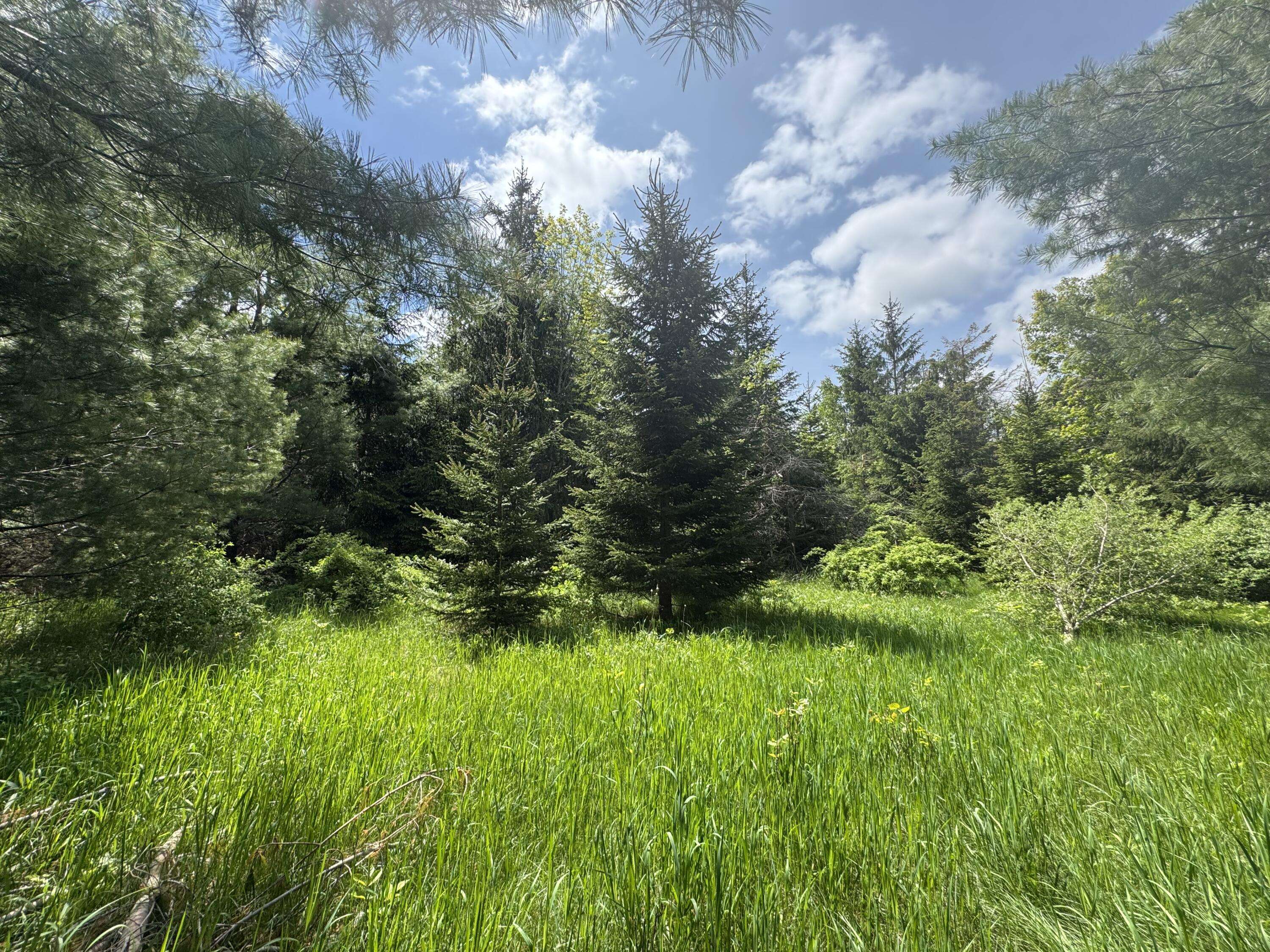 Alanson, MI 49706,Lot 2 E West Resort RD