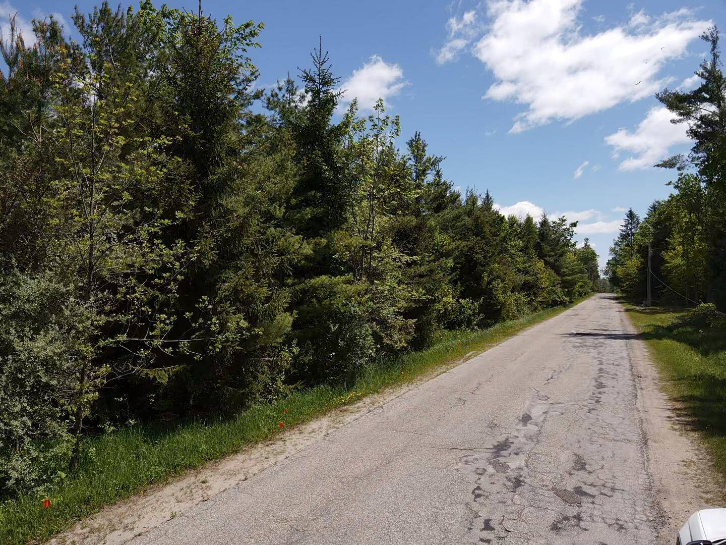 Alanson, MI 49706,Lot 2 E West Resort RD