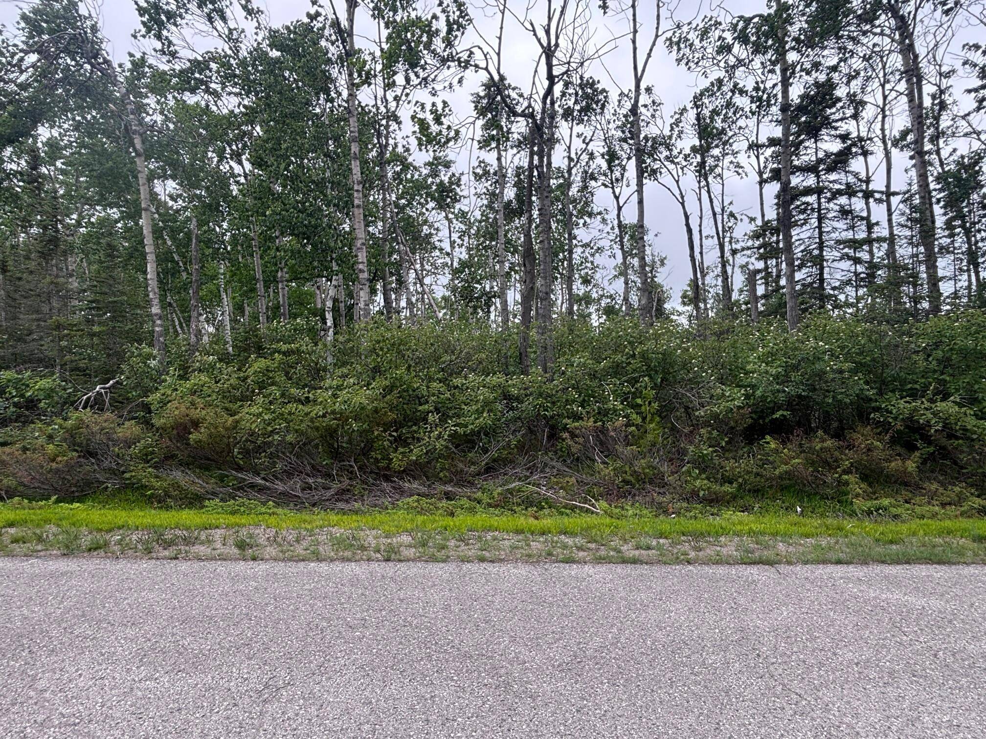 Presque Isle, MI 49777,Lot 92 Pine St
