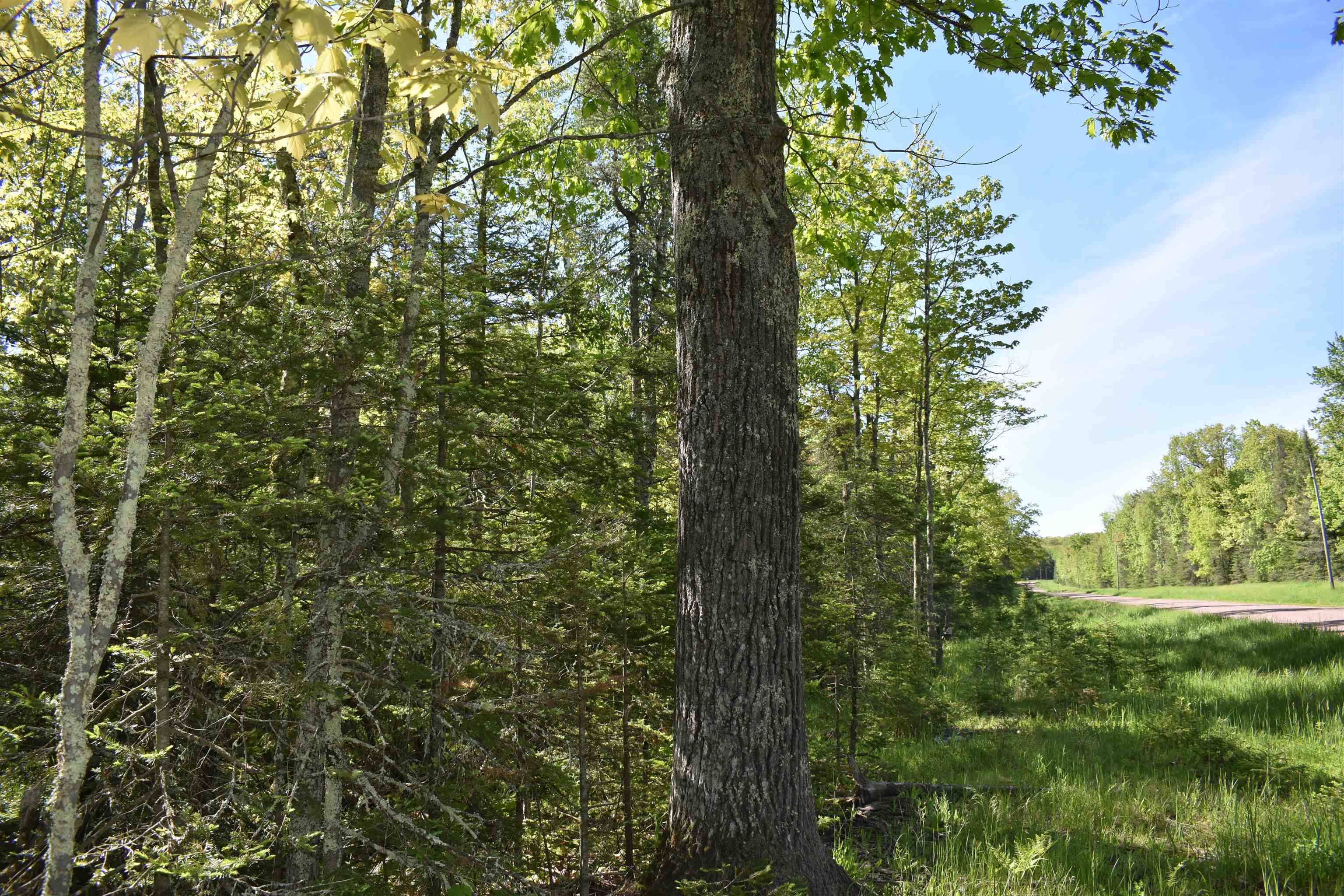 Mason, WI 54856,60XXX Andrew Anderson Rd