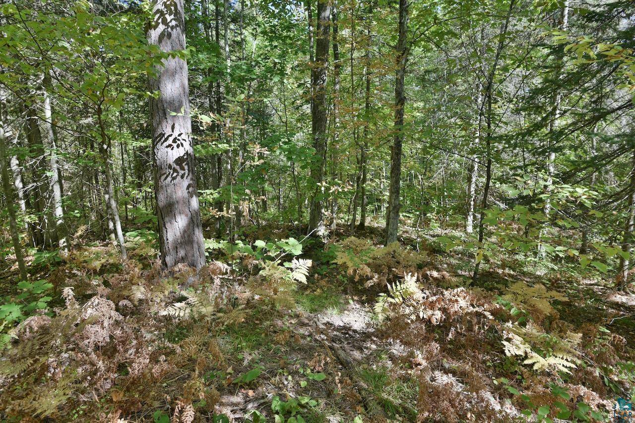 Cornucopia, WI 54827,Lot 2 County Hwy C