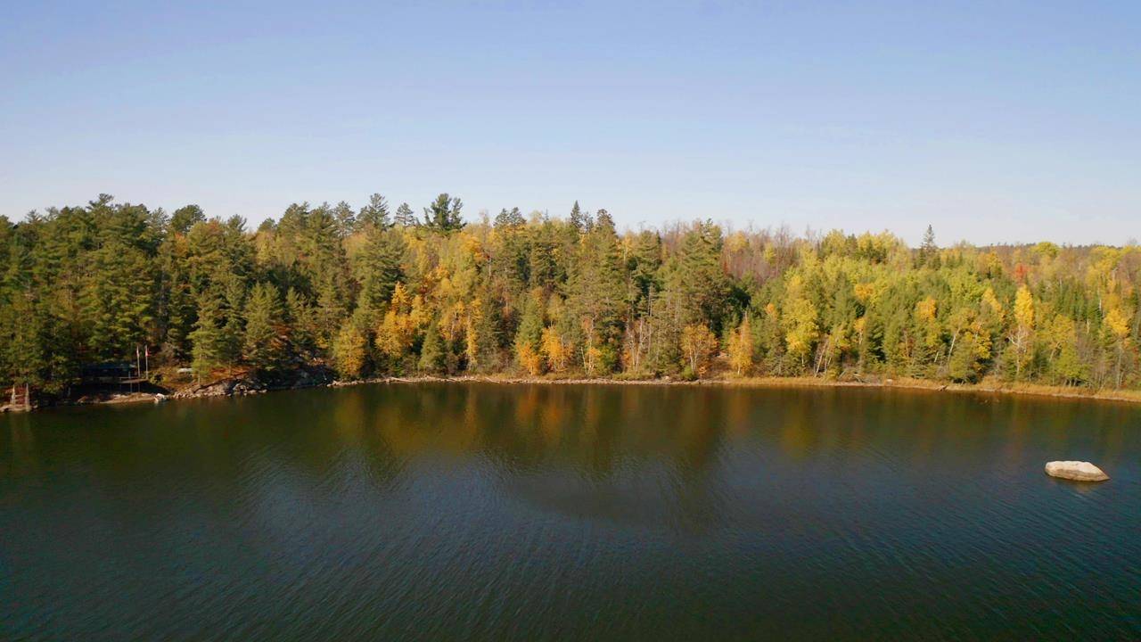 Cook, MN 55771,Lot 5 Wakemup Narrows North