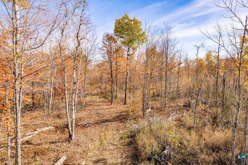 Duluth, MN 55803,xxx Amity Drive