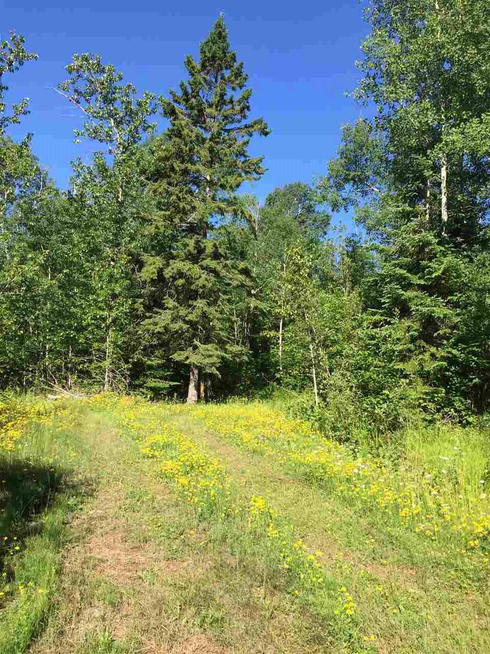 Grand Marais, MN 55604,Lot 6 Quist Rd