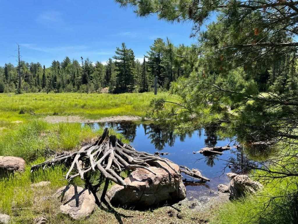 Ely, MN 55731,xxxx Mud Creek Rd