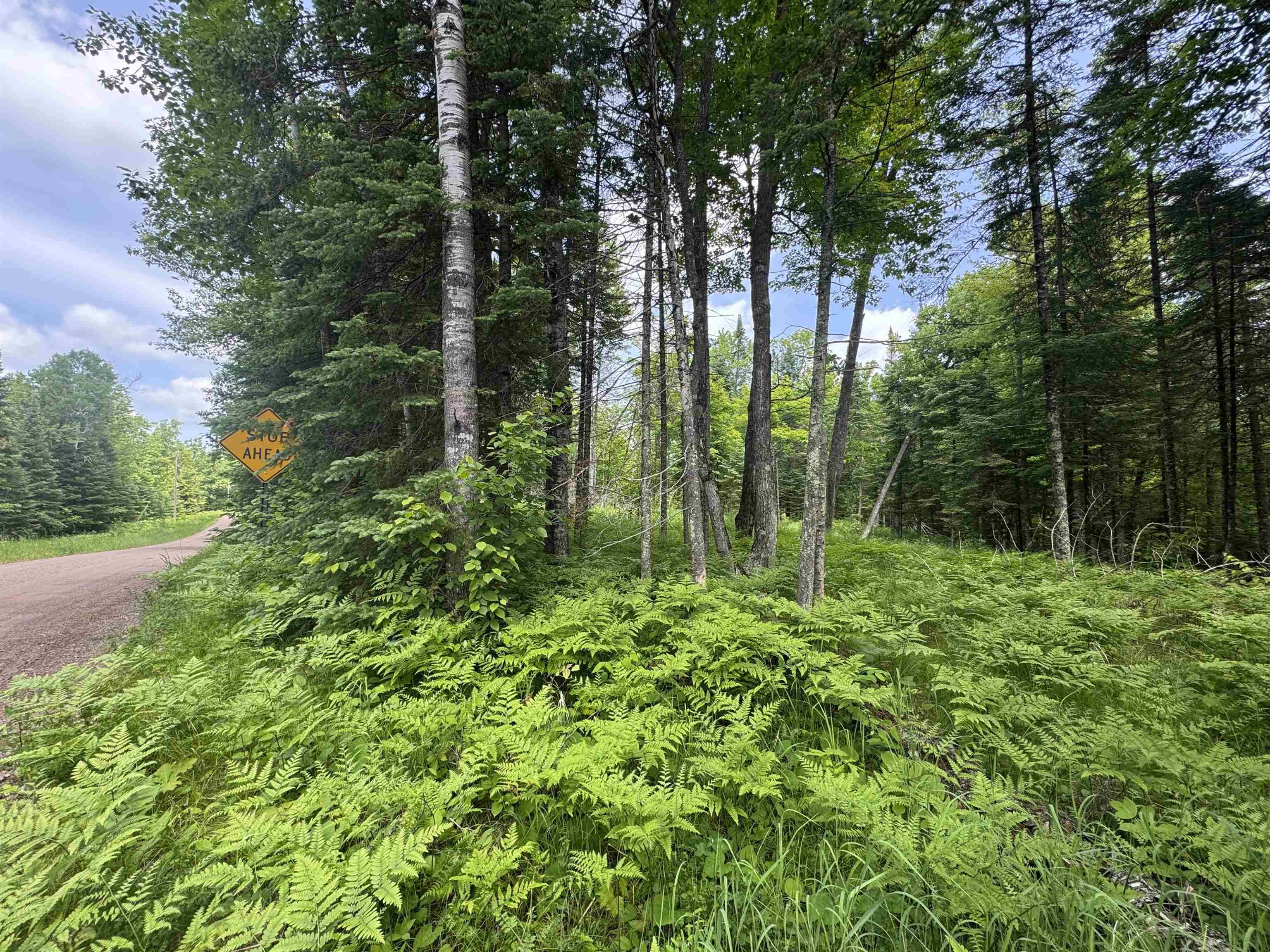 Barnum, MN 55707,xxx Crystal Lake Rd
