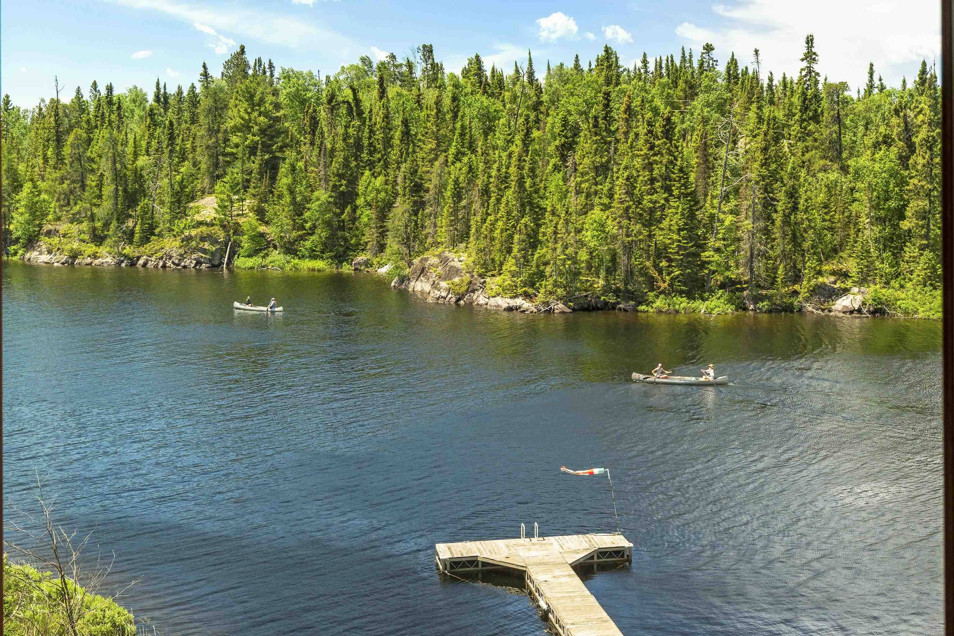 Grand Marais, MN 55604,185 Sag Lake Tr