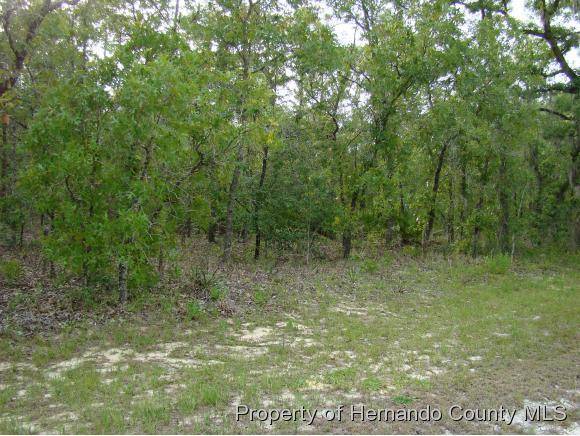 Weeki Wachee, FL 34614,LOT 5 Malibar Road