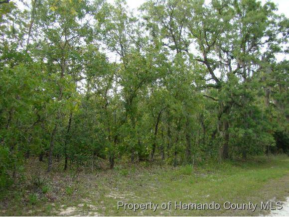 Weeki Wachee, FL 34614,LOT 5 Malibar Road