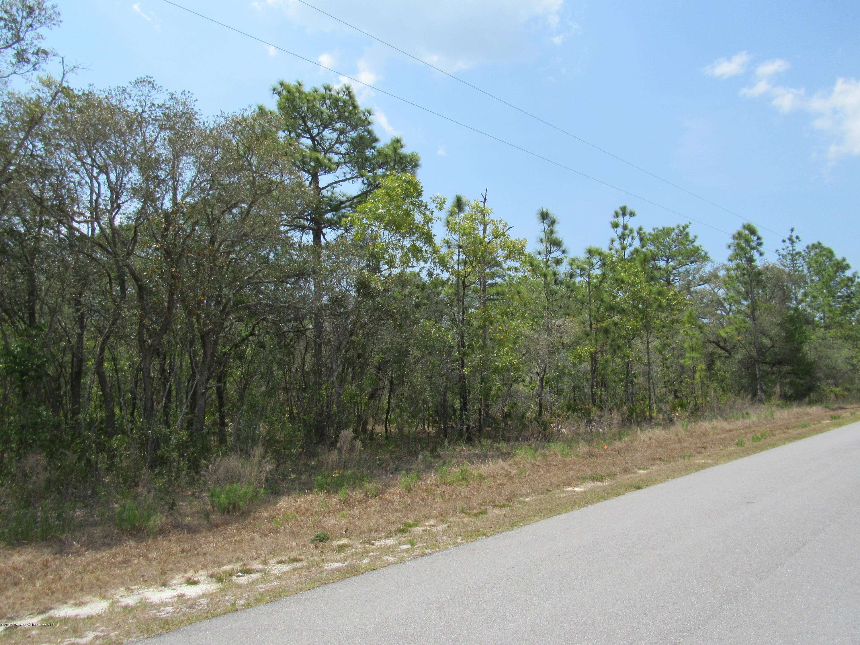 Weeki Wachee, FL 34614,00 Night Heron Road