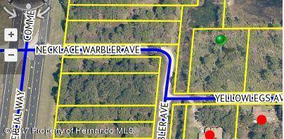 Weeki Wachee, FL 34614,0 Yellowlegs Avenue