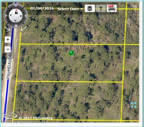 Brooksville, FL 34614,18098 PALMDALE Road