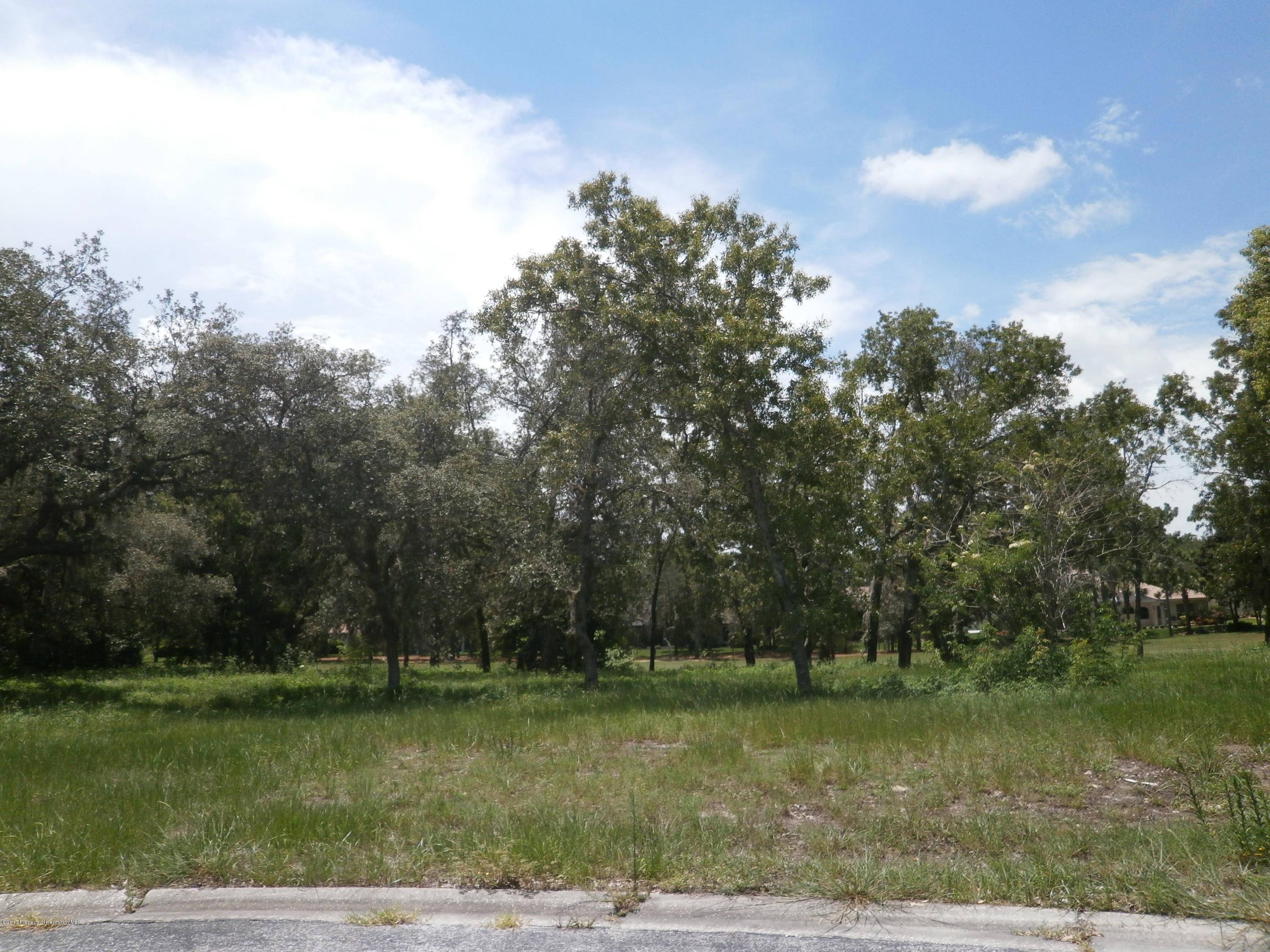 Weeki Wachee, FL 34613,0 Butler