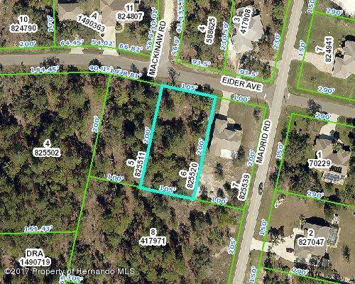 Weeki Wachee, FL 34613,0 Eider