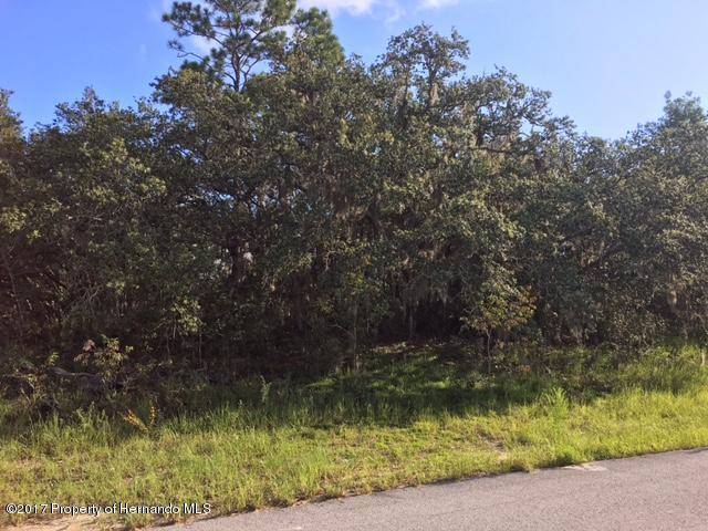 Spring Hill, FL 34609,00 Skyler Lane