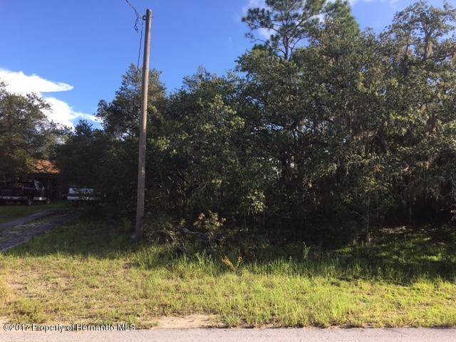 Spring Hill, FL 34609,00 Skyler Lane