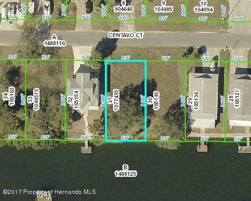 Hernando Beach, FL 34607,0000 Centavo Court