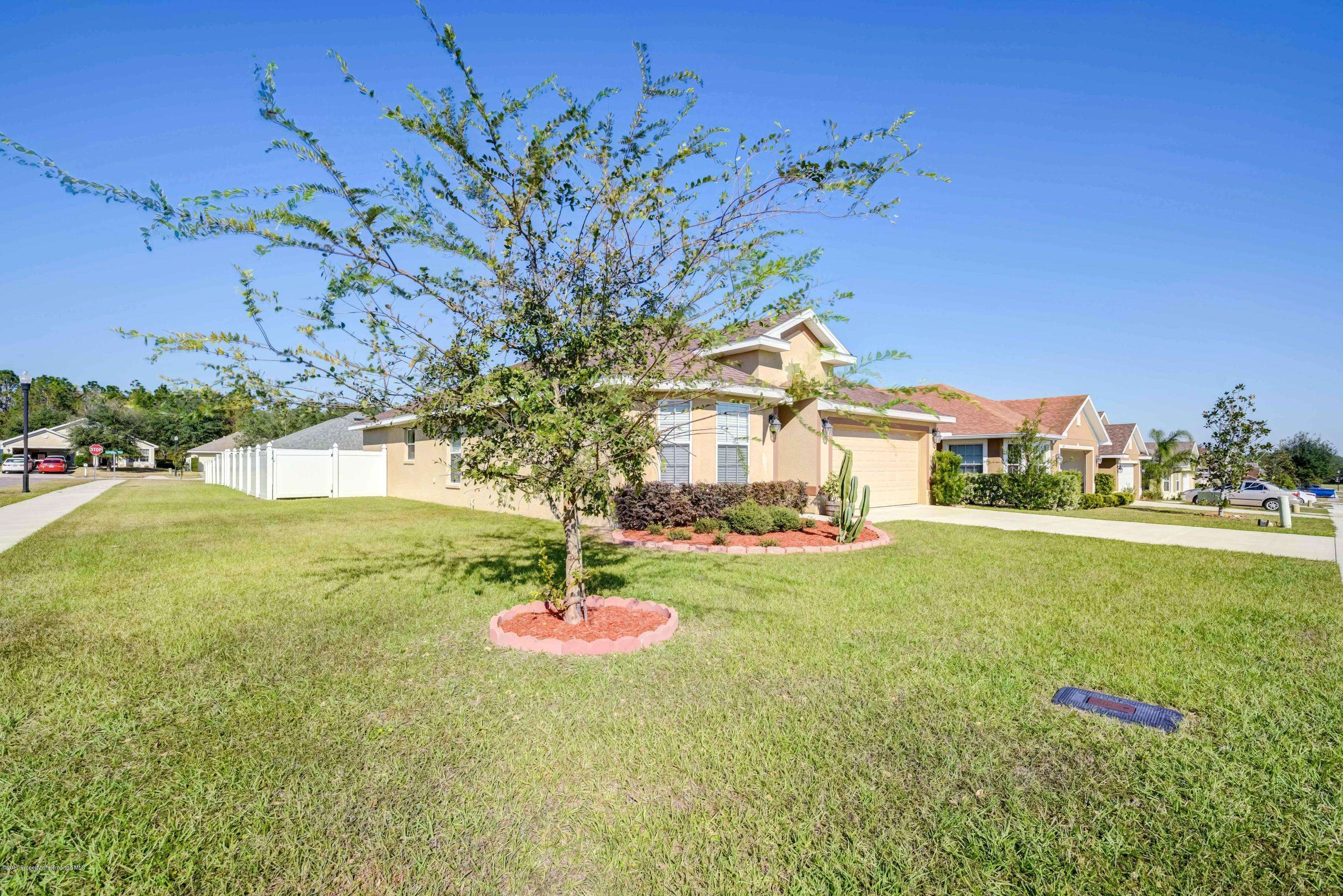 Brooksville, FL 34602,31067 Water Lily Drive