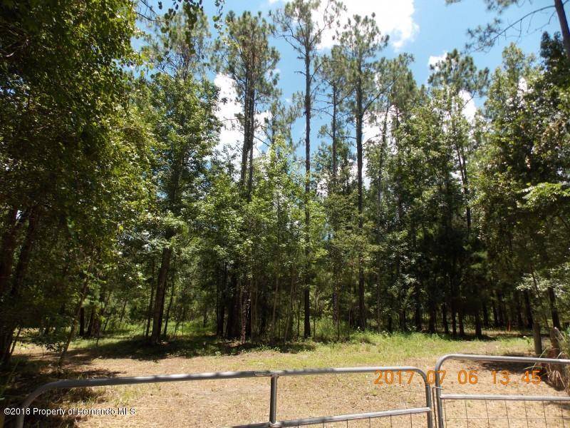 Brooksville, FL 34601,o Whitman Road