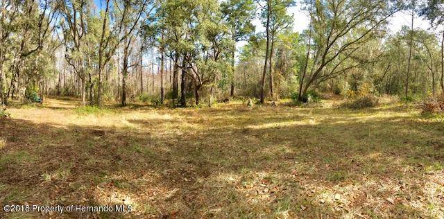 Brooksville, FL 34602,0 Bessemer Road