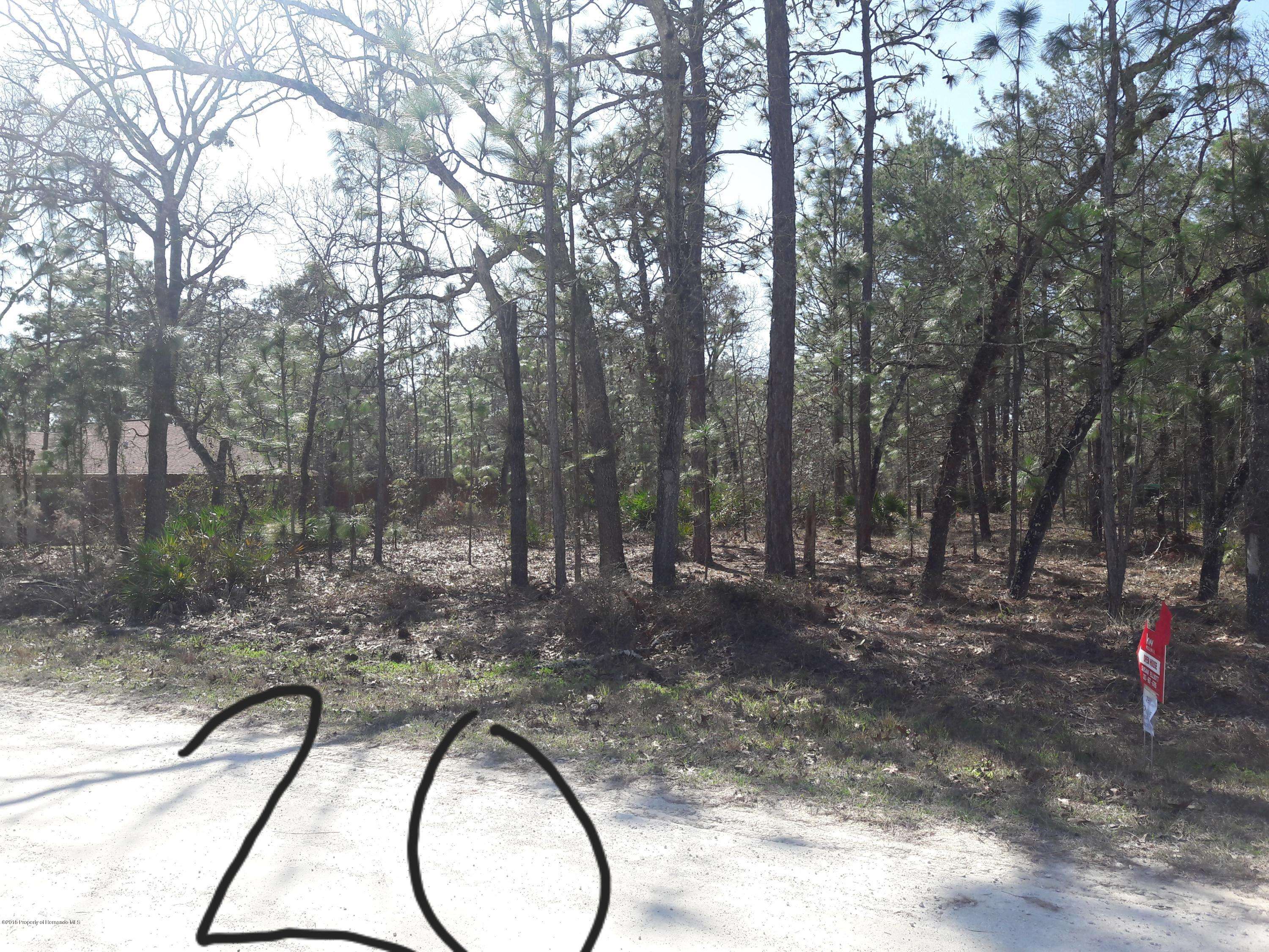 Weeki Wachee, FL 34614,Lot 20 Macassar, Blk 94 Road