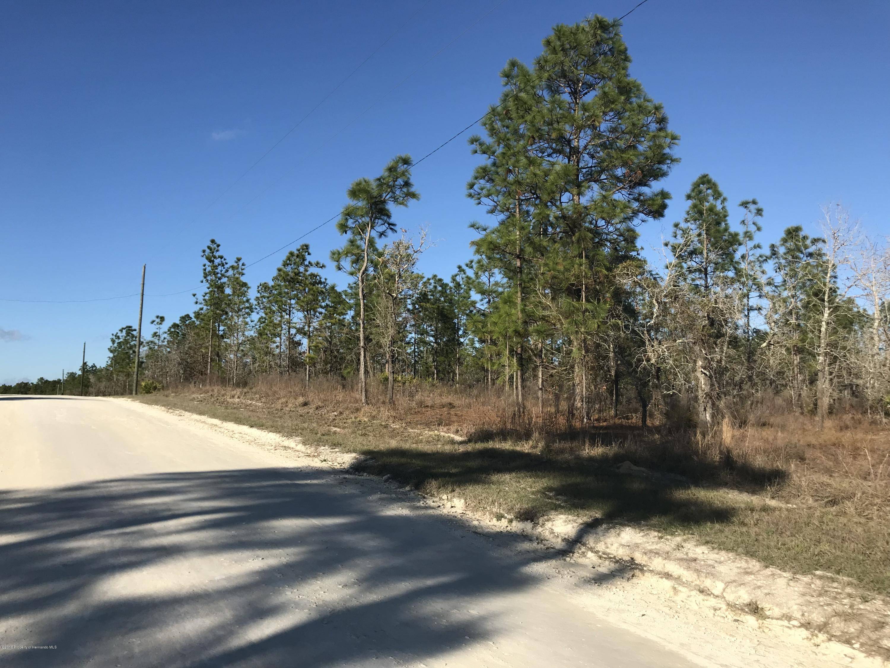 Weeki Wachee, FL 34614,00 Pomp