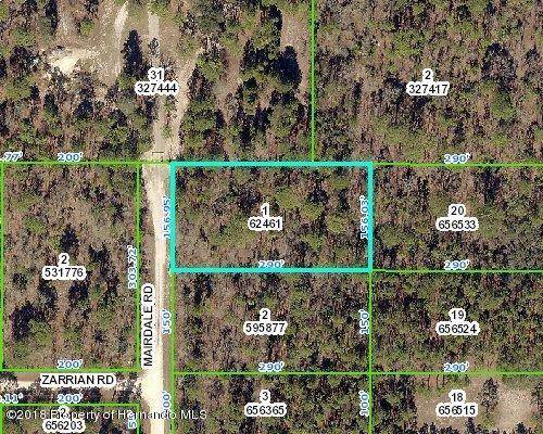 Weeki Wachee, FL 34614,000 Mairdale Road