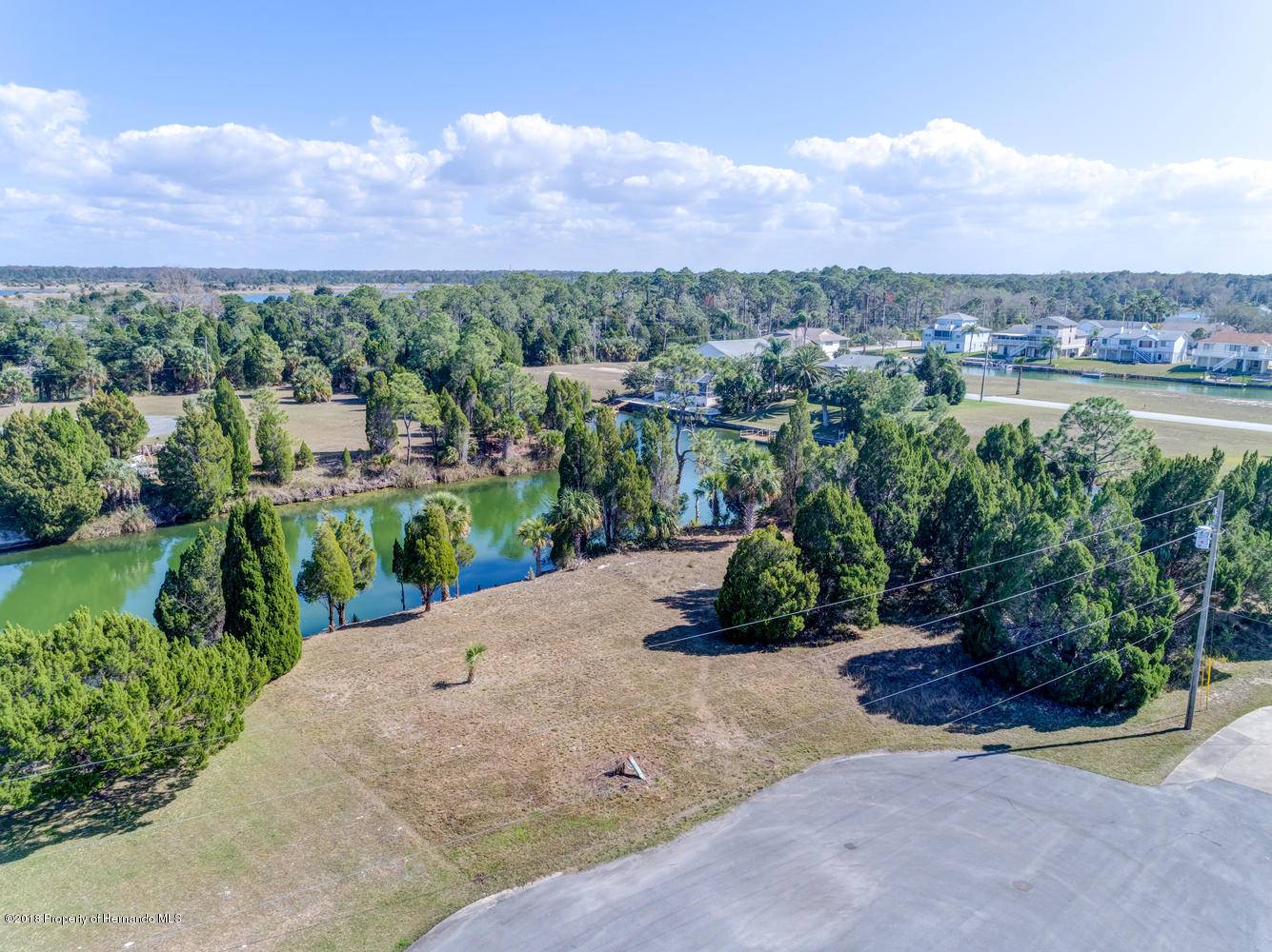 Hernando Beach, FL 34607,Lot 24 Sea Grape Drive