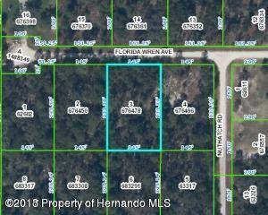 Weeki Wachee, FL 34614,00 Florida Wren Avenue